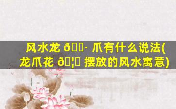 风水龙 🌷 爪有什么说法(龙爪花 🦆 摆放的风水寓意)